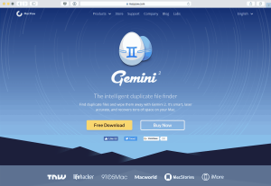 Gemini website