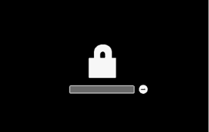 Mac firmware lock